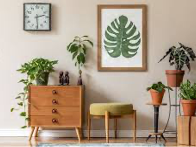 houseplants