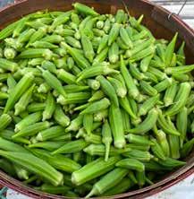 Basket of okra