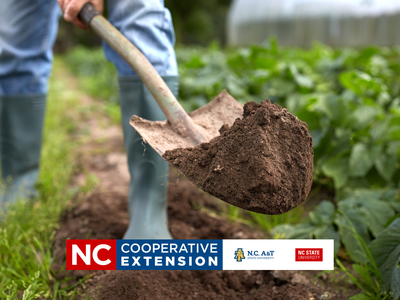 reports for soil samples