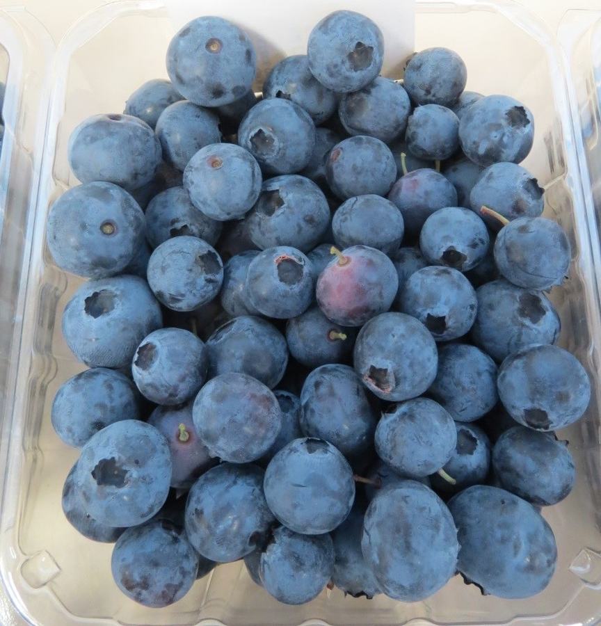 A clamshell of "stemmy" blueberries