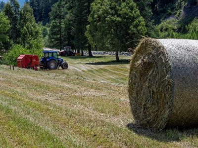 Hay Field