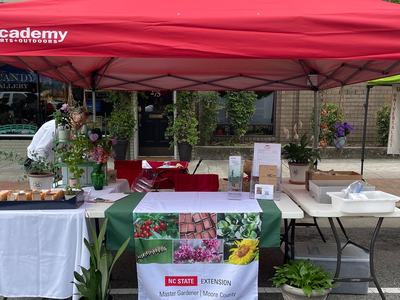 At Springfest 2022, our Master Gardener Volunteers answered questions, handed out seed packets, and had a seed starting activity for children.