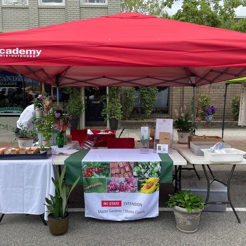 At Springfest 2022 Booth