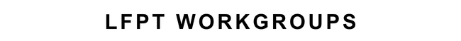 Bold uppercase text "LFPT WORKGROUPS" centered on a white background