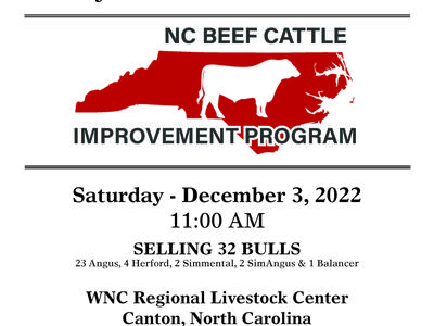 North Carolina BCIP Waynesville Bull Test Sale — Saturday, December 3, 2022, 11:00 AM