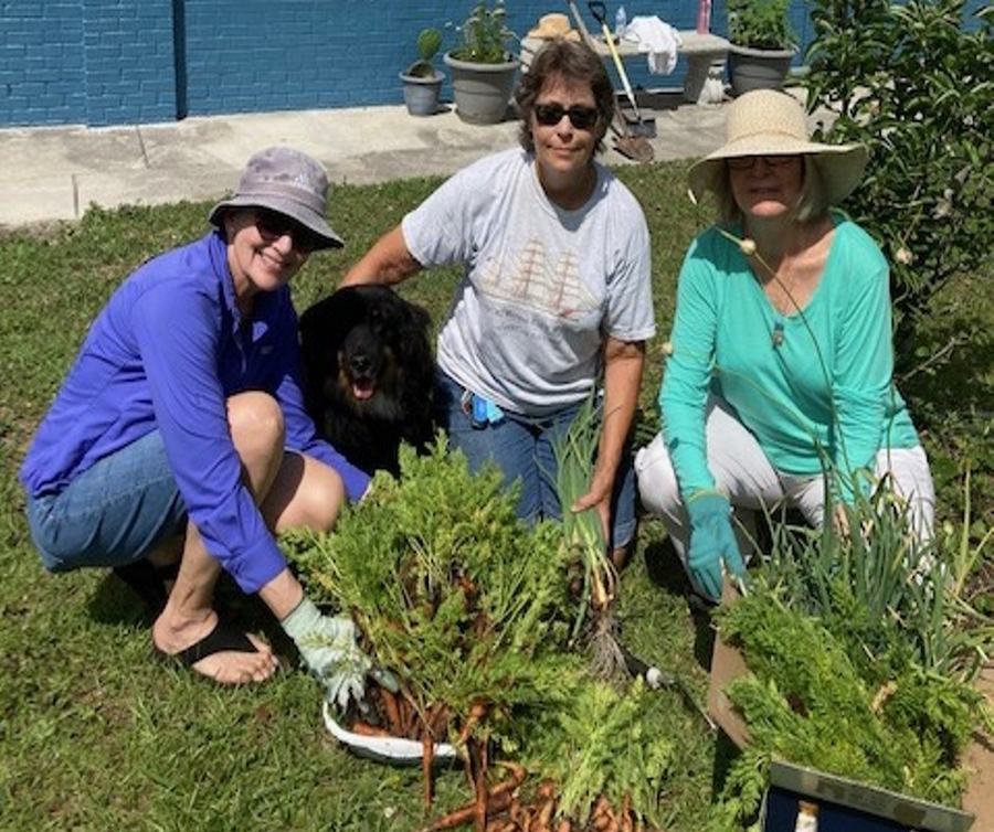 Master Gardener Volunteers working in a garden.