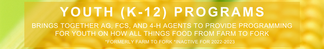 Banner reading YOUTH (K-12) PROGRAMS and smaller text about ag, FCS, and 4-H agents providing farm-to-fork food programming
