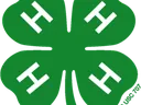 Green four-leaf clover with a white "H" on each leaf and small "4-H.org" near the stem