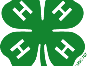 Green four-leaf clover with a white "H" on each leaf and small "4-H.org" near the stem