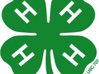 Green four-leaf clover with a white "H" on each leaf and small "4-H.org" near the stem