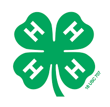 4-H logo