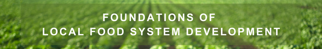 FOUNDATIONS OF LOCAL FOOD SYSTEM DEVELOPMENT text over a blurred green field