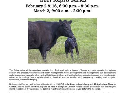 Beef Repro Series flyer, cow and calf photo; Feb 2 & 16 6:30–8:30pm, Mar 2 9am–2:30pm