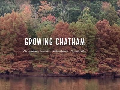 In the fall at Jordan Lake