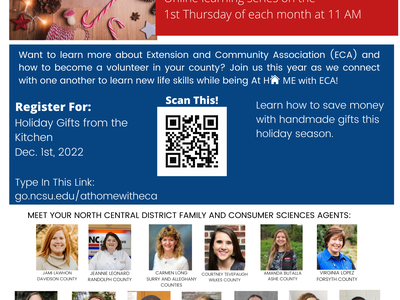 ECA online learning series