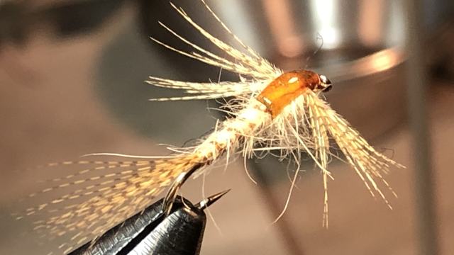 Hand-tied dry fly with orange body clamped in a fly-tying vise