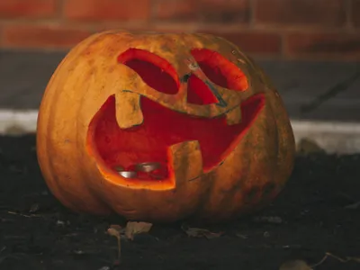 How to Dispose of Pumpkins, Fall Pumpkins, How to Recycle Pumpkins, What to Do with Jack-O-Lanterns