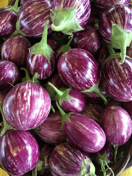 Purple/white eggplant