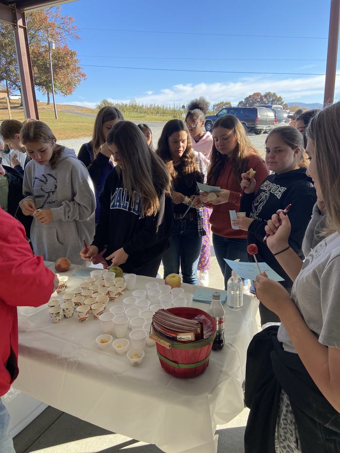 A table containing samples of apples.