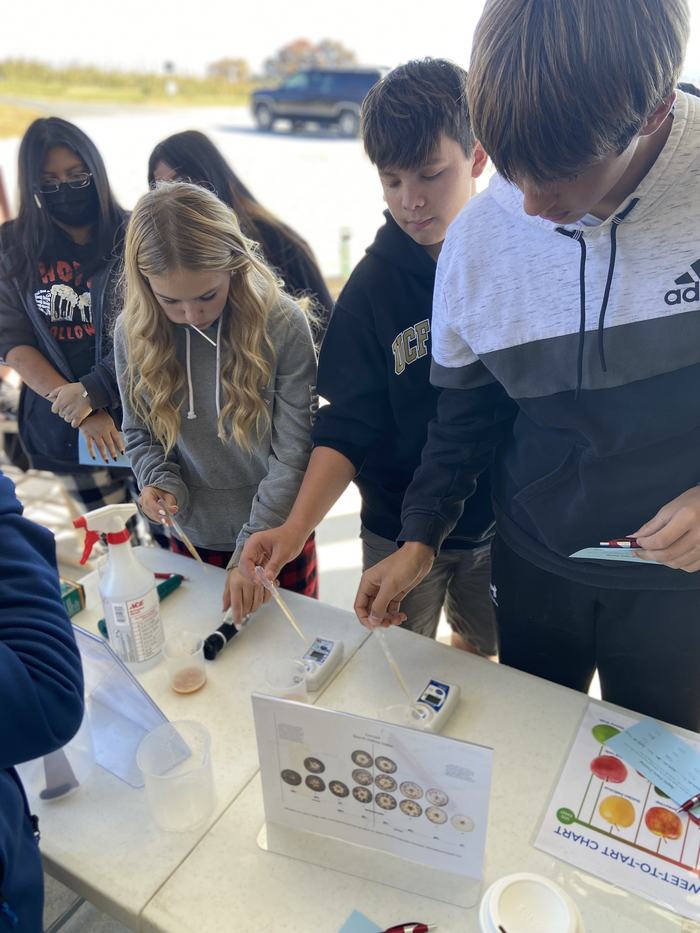 Students look at a table of samples.