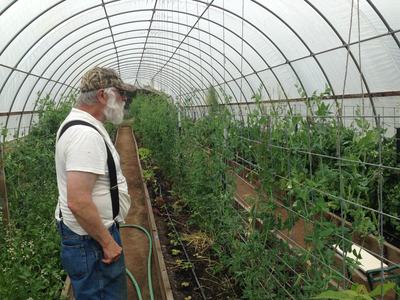 farmer looking at crops