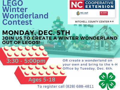 LEGO contest flier