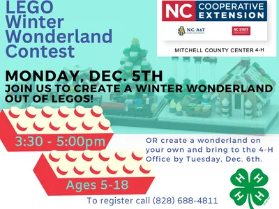 LEGO contest flier