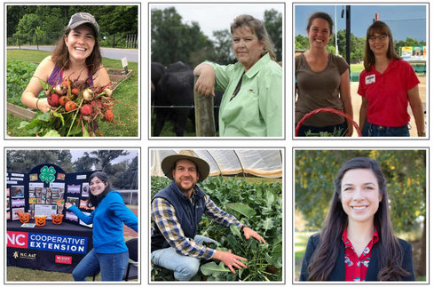 Six-panel collage: people harvesting crops, livestock, NC Cooperative Extension booth, and portraits