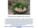 Marketing Medicinal Herbs. Wednesday, December 7 at 3:00 p.m.