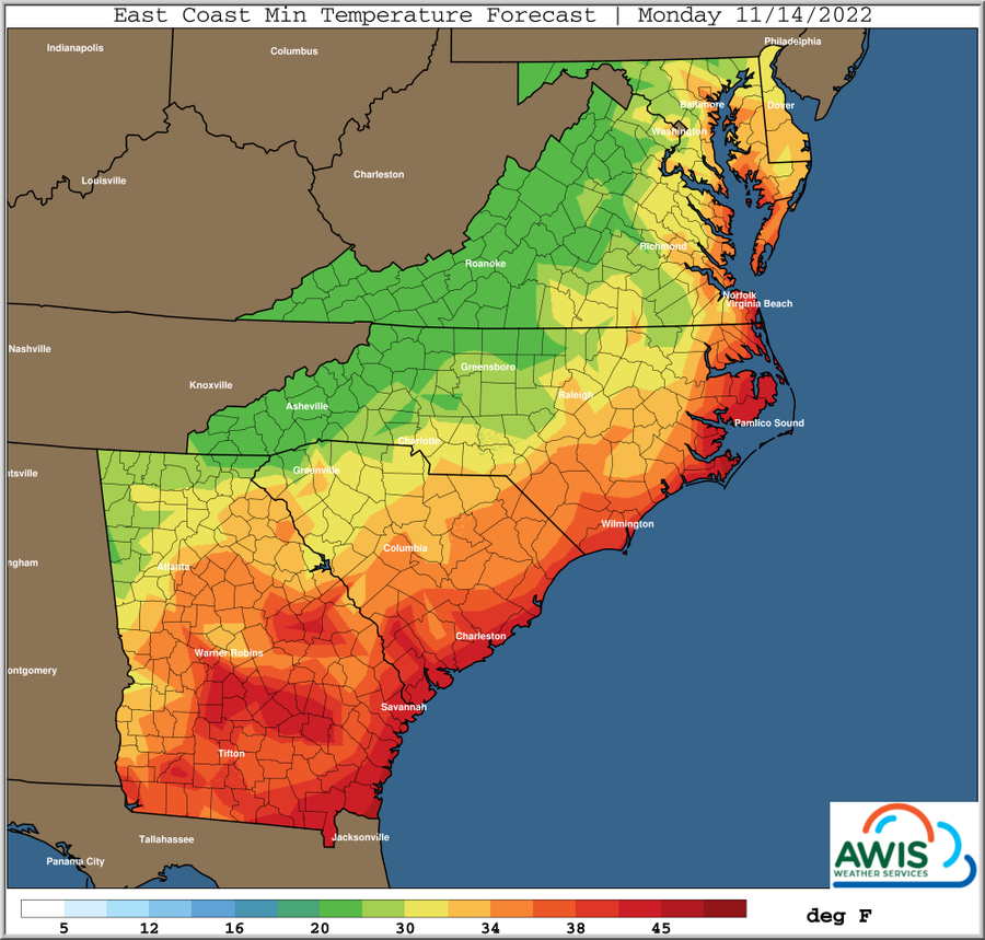 East Coast Minimum Temperature Forecast for Monday 11/14/2022.