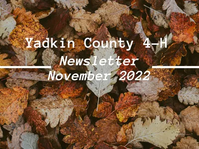 November Yadkin County 4-H Newsletter-Leaves