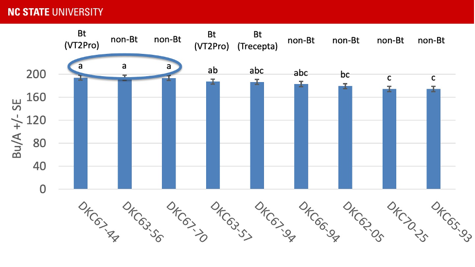 A chart showing rates non-Bt and Bt corn.