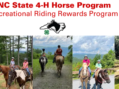 NC State 4-H Horse Program: Recreational Riding Rewards Program; group riding horses outdoors