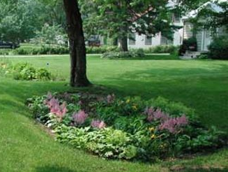 A shaded garden in a front lawn.
