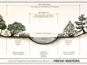 Cross-section: upland, fresh water wetlands, rivers/streams/lakes/ponds; Section 404 and Section 10