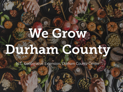 Linked hands with Newsletter title over