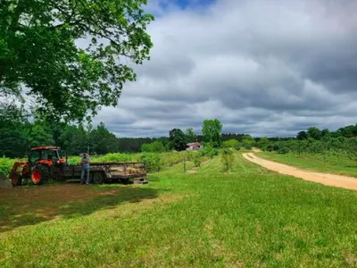 Tractor and trailer with person loading hay beside vineyard rows and dirt road under cloudy sky