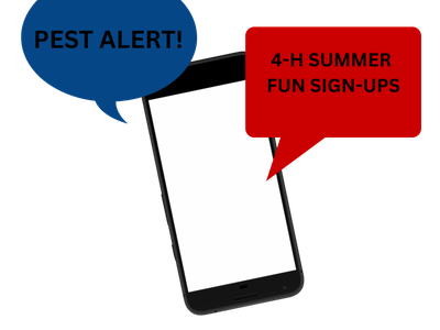 smartphone with texts