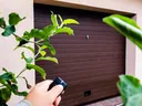 Plants in front of garage