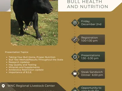 WNC Beef Conference Flyer