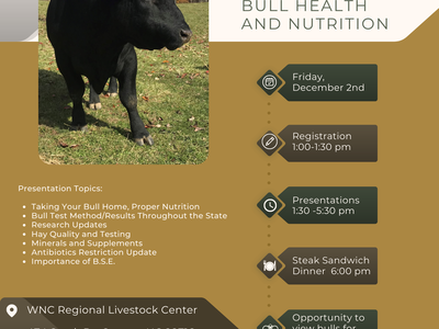 WNC Beef Conference Flyer