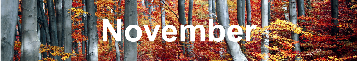 November