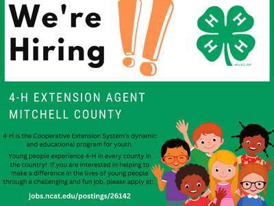 Hiring 4-H Extension Agent flier