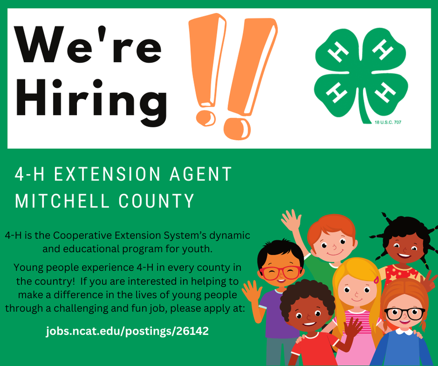 Hiring 4-H Extension Agent flier