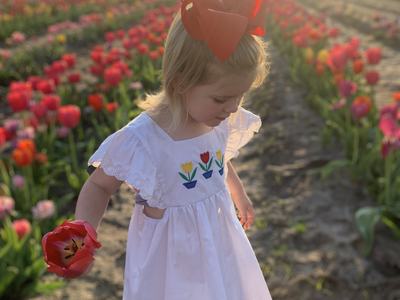 Young girl in white dress holding a red tulip walking in a tulip field at sunset
