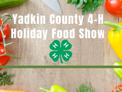 Yadkin County 4- h holiday Food Show (1)