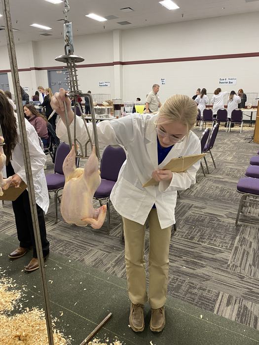 4-H youth judging chicken meat