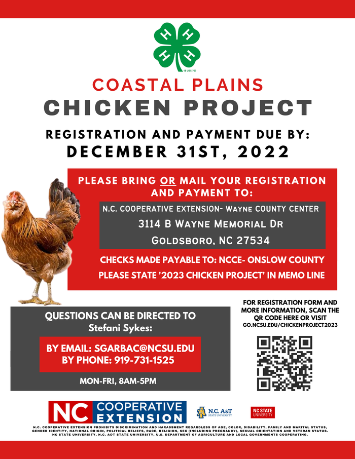 Chicken Project Flyer