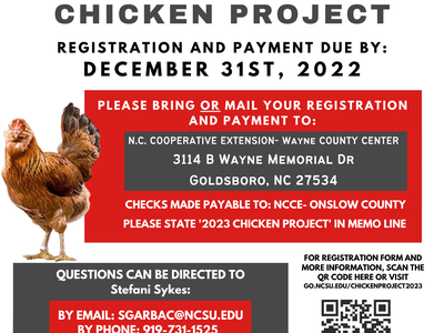 Chicken Project Flyer