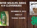 picture of birds and feeders for youth program announcement